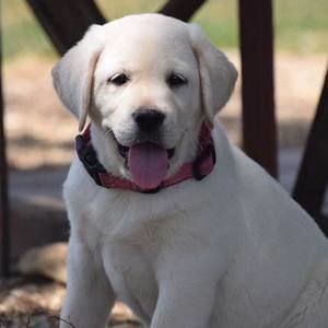 Meet your Posher, Georgina